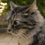 Alby21_Albert